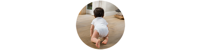 parquet delicadeza