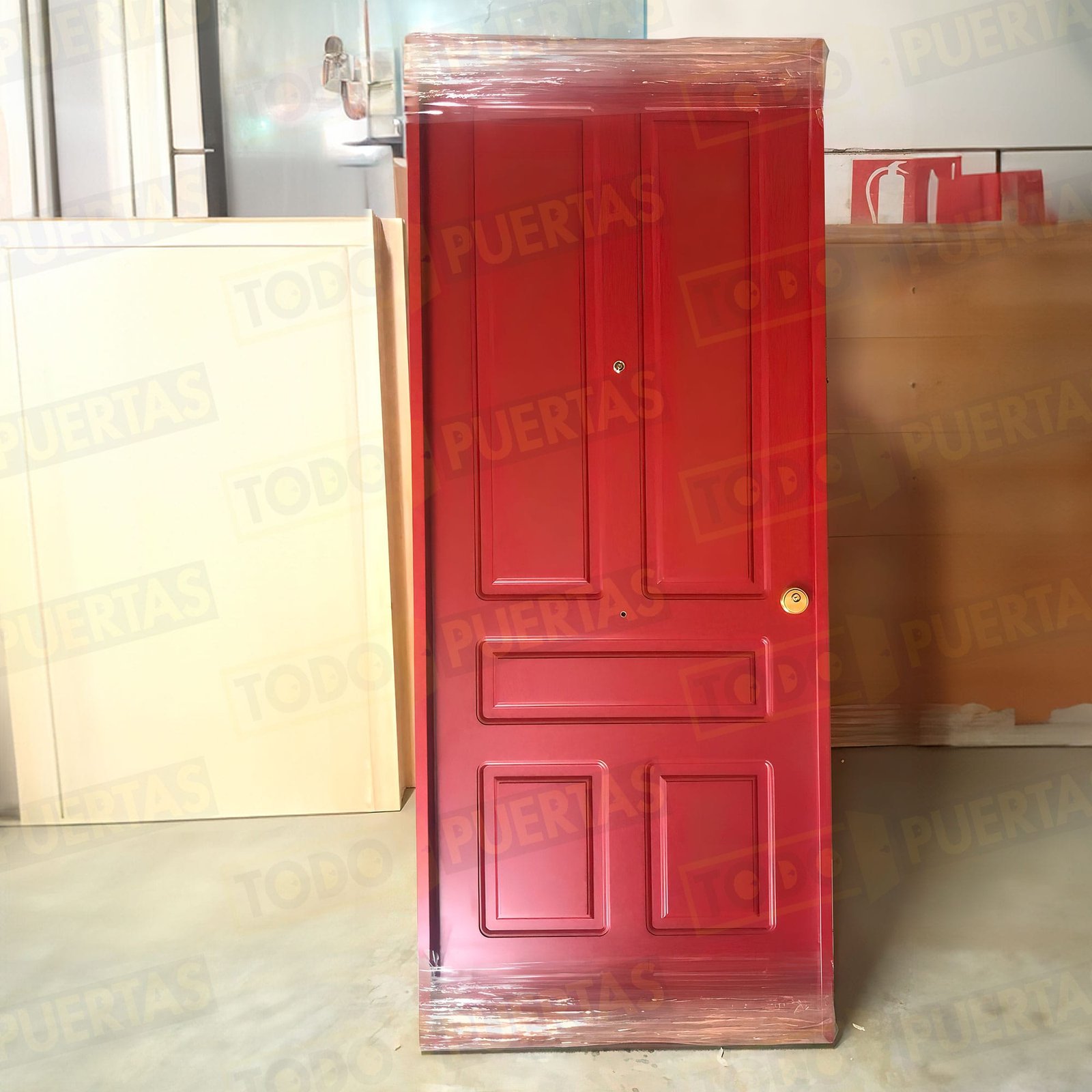 Foto Puertas de Entrada cliente 23